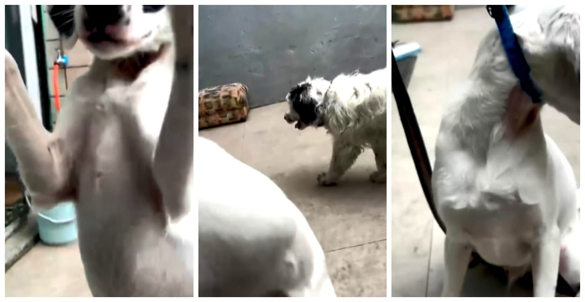 foto Not&iacute;cia Osasco