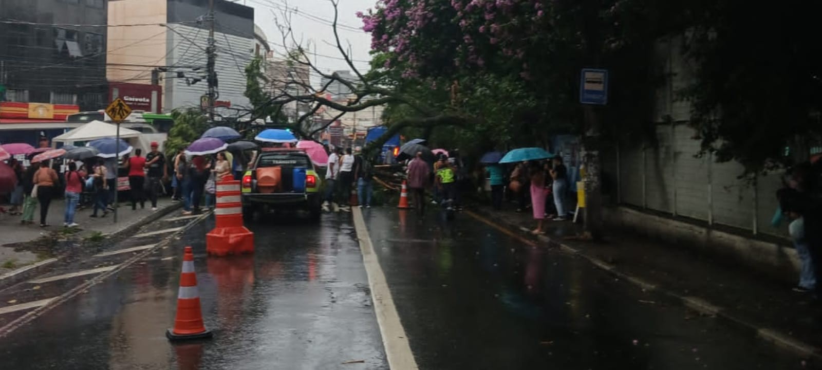 foto Not&iacute;cia Osasco